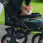 The Ultimate Guide to Choosing the Best Pet Carrier with Wheels