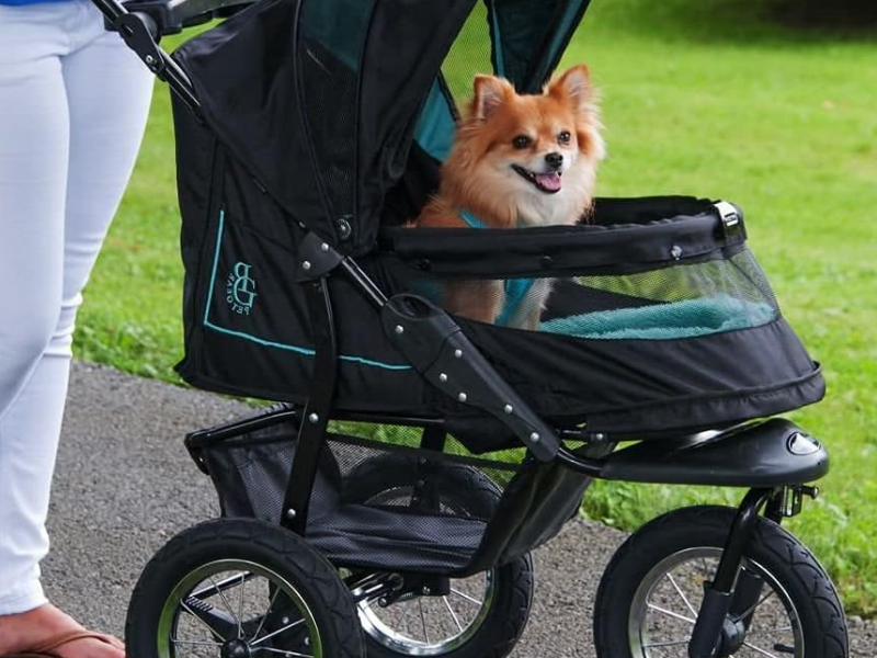 The Ultimate Guide to Choosing the Best Pet Carrier with Wheels