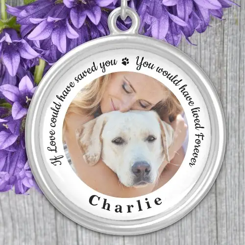 Custom Dog Tag Jewelry: A Unique Way to Keep Memories Close